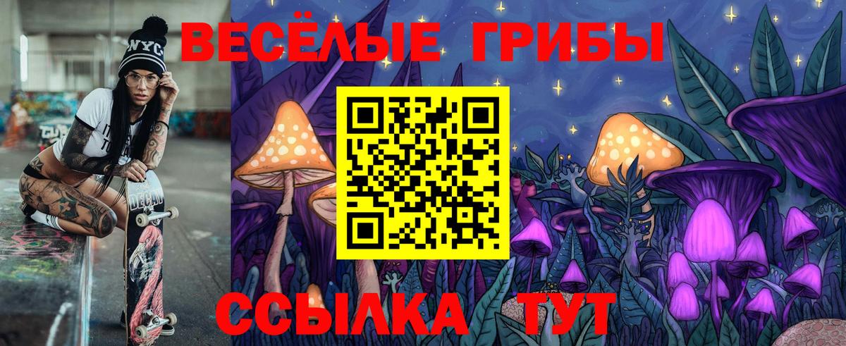 Псилоцибиновые грибы Psilocybe Железноводск