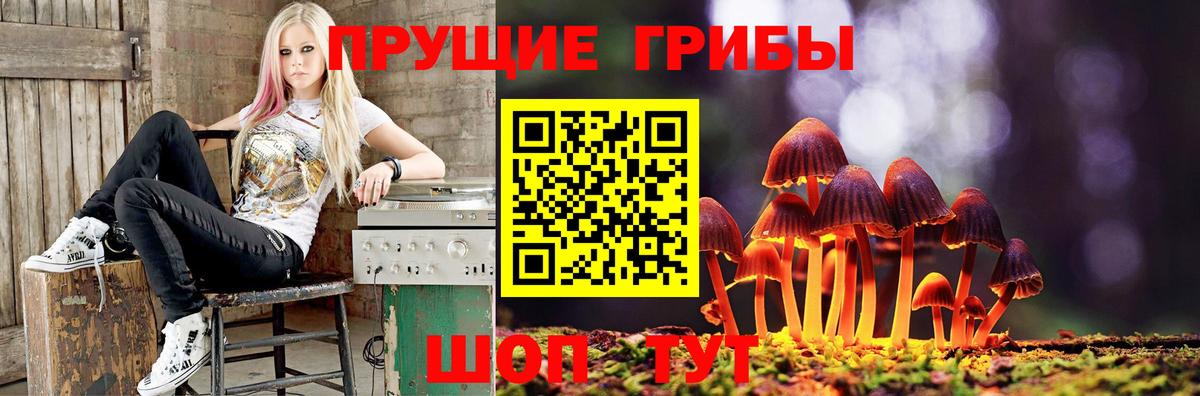 Железноводск  Галлюциногенные грибы GOLDEN TEACHER  Галлюциногенные грибы Psilocybine cubensis  Вход с VPN 